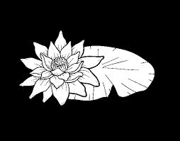 Visualizza altre idee su disegni fiore di loto, disegno fiori, idee per tatuaggi. Disegno Di Una Fiore Di Loto Da Colorare Acolore Com