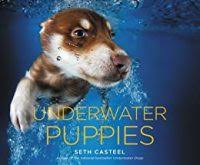 Follow kristen's happy tails on wordpress.com. Memphis Reads Underwater Puppies And Underwater Dogs By Seth Casteel Memphis Public Libraries