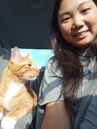 Missing orange cat named Cheeto near Murnin Elementary in San Antonio