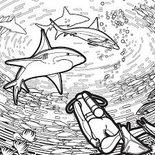 Looking for cartoon coloring pages, download coloring pages of cartoon characters in high resolution for free. Shark Coloring Pages Free Printable Coloring Pages For Kids