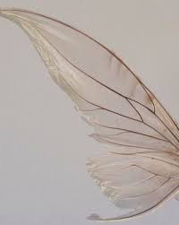 Are You Am I Beige Aesthetic Fairy Wings White Aesthetic