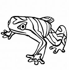 South America Coloring Pages Of Animals