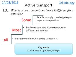 May 16, 2020 · definition. Active Transport New Gcse Teaching Resources