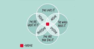 Ikigai Your Reason For Being