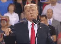 Limp Wristed GIFs - Find & Share on GIPHY