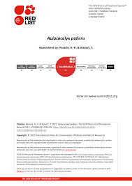 Image result for Aulacocalyx