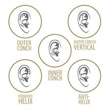 Bling piercing 3pc triple forward helix 16g labret jewelry set 6mm 1/4 surgical stainless cubic zirconia crystals. Mini Base For Triple Piercing Wildcat Deutschland