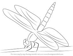 Check spelling or type a new query. Drawing A Dragonfly Step By Step Novocom Top