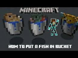 how to put fish in bucket on mcpe youtube how to put fish in bucket on mcpe
