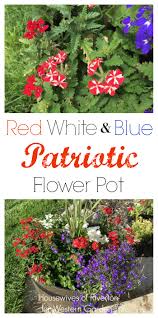 Transform your landscape all summer long with black, blue, red, and purple salvia seeds and plants in stock from burpee today. Red White Blue Patriotic Flower Pot Western Garden Centers