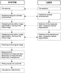 Image Cytometry Flow Chart Of Image Processing The Image