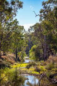 These stays are highly rated for location. Outback At Dubbo New South Wales Australia Stock Photo Picture And Royalty Free Image Image 92770416