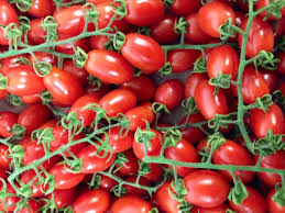 Covent Garden Supply On Twitter Tomato Garden Supplies Vegetables