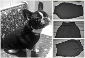 Pullover Fur Den Hund Stricken Diy Pulli Hunde Pullover Hundepullover Hundepullover Stricken