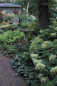 Dealing With Dry Shade Finegardening Shade Garden Design Beautiful Gardens Shade Garden