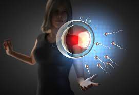 How Soon Can You Conceive After Terminating A Pregnancy Lovetoknow