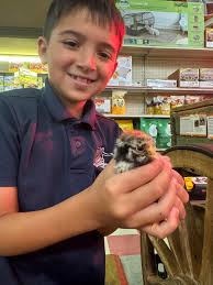 Schools out for summer!! We...