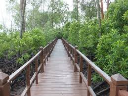 Better sewa kereta atau book. Entrance Fee Foto Taman Nasional Tanjung Piai Pontian District Tripadvisor