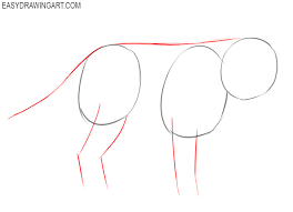 How to draw an arctic fox. How To Draw An Arctic Fox Easy Drawing Art