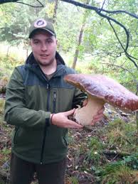 Ce champignon géant a été découvert par le chef espagnol sergio martinez valledor sur une colline du village de santa lucia de gordon, dans la province de leon. 1 9 Et 3 5 Kilos Des Cepes Geants Cueillis En Correze Chasteaux 19600