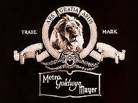 The lions once on display at the mgm grand are making their comeback on their home turf — a ranch in henderson where they've always lived. Leo The Lion Mgm Wikipedia