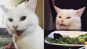 Smudge The Cat Know Your Meme Smudge the cat meme png, transparent png is free transparent png image. smudge the cat know your meme