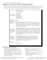 Wow your future employer with this simple cover letter example format. 2