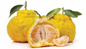 Voici une liste de quelques fruits et légumes commencant par la lettre 'p' :le pamplemousse, la papaye, le pamplemousse, la pasteque, la peche, le piment, la poire, le poireau, le. Fruits En U Et Legumes En U La Liste Complete En Francais Alex Alex