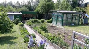 Der garten umfasst eine gesamtfläche von ca. Garten Pachtgarten Schrebergarten In Hoxter In Nordrhein Westfalen Herford Grundstuck Garten Zur Miete Pacht Ebay Kleinanzeigen