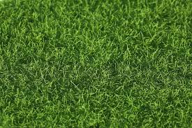 The cushions requires larger sheets of fake grass, but you could still achieve a similar result with lots of small patches instead. 6 X6 Fake Grass For Dollhouse Miniatures Garden Artificial Grass For Crafts Decoration Pack Of 4 Walmart Com Walmart Com