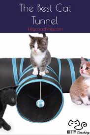 The Best Cat Tunnel 2018 Cat Tunnel Cool Cats Cats And Kittens