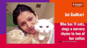According to a study from the national institutes of health, children under 1 year old who were exposed to a cat were less likely to develop allergies. Shivani Surve Cutenessalert On International Cat Day Let Us Introduce You To Your Favorite Marathi Celebs Feline Babies Relationships Times Of India Videos