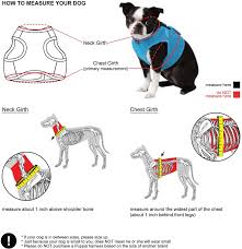 Puppia Soft Vest Dog Harness Royal Blue Small