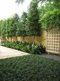 30 Big Tips And Ideas To Create Backyard Privacy Landscaping Backyard Gardendesign Gardeningideas Privacy Landscaping Backyard Privacy Backyard Fences