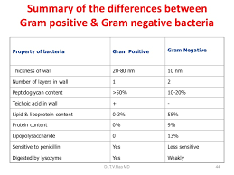 Bacteriology Basics Morphology Classification Staining Methods