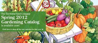 Vegetable Seeds Flower Seeds Herb Seed Garden Seed Seed Company Garden Seeds Seeds