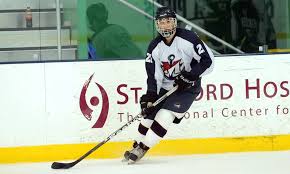 Hockey Scores A Pair Of Victories This Past Weekend