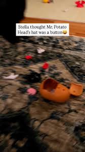 Hunger for Words added a new photo.