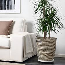 Parcourez notre sélection de pot de fleur : Ragkorn Plant Pot Indoor Outdoor Natural 12 Ikea In 2021 Potted Plants Ikea Affordable Furniture