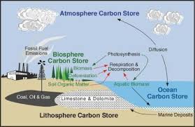 Building Blocks Of An Aquatic Ecosystem Orange Senqu River Awareness Kit Carbon Cycle Aquatic Ecosystem Ecosystems