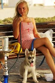images