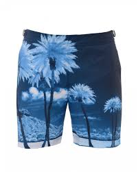 Mens Bulldog Blue Palms Swimshorts Mid Length Swimming Trunks