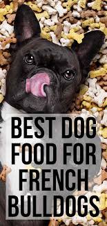 How to choose the best dog food for french bulldogs. Best Dog Food For French Bulldogs Dogfood Frenchbulldogs French Bulldog Breed Best Dog Food French Bulldog Puppies