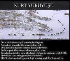 Mustafa Adli Kullanicinin Karisik Panosundaki Pin Ozlu Sozler Bilgi Ve Anlamli Alintilar