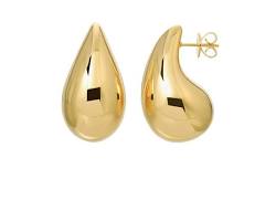 Sculptural Earrings的图片