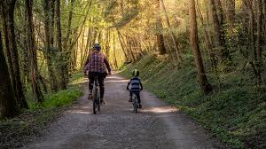 Our father's day guide offers signing tips and message starting points from hallmark writers. Father S Day In Canada