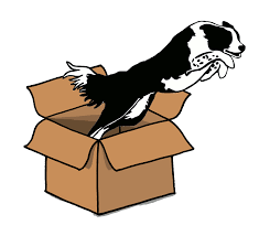 Over 3,035 dog outside pictures to choose from, with no signup needed. Home Outside The Box