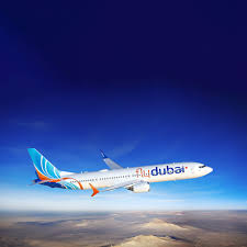 Image result for Commercial Blue 1995 Fleet