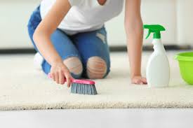 Then shampoo it up and go over again. How To Clean Carpet Like A Pro Mymove