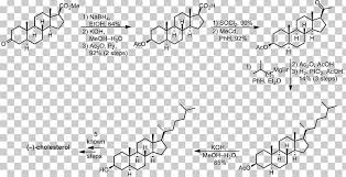 Störungen der steroidhormonsynthese aufgrund von enzymdefekten können zu abweichungen der geschlechtsdifferenzierung führen, indem entweder zu. Steroid Hormone Chemical Synthesis Chemistry Cortisone Png Clipart Angle Area Black And White Chemical Synthesis Chemistry